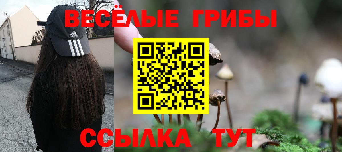 Галлюциногенные грибы Magic Shrooms Нягань