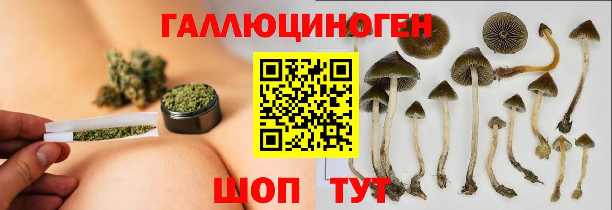 Галлюциногенные грибы Psilocybine cubensis  Вход с VPN  Нягань 